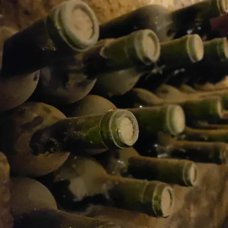 Ξενοδοχείο Mayor De Migueloa