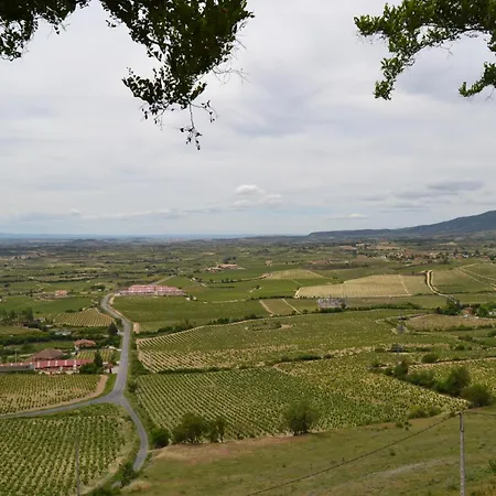 Mayor De Migueloa Laguardia