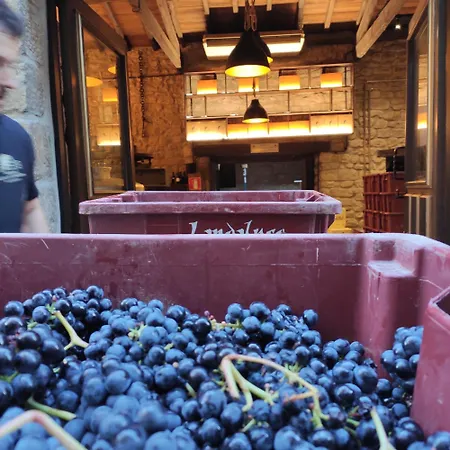 Mayor De Migueloa 2* La Guardia