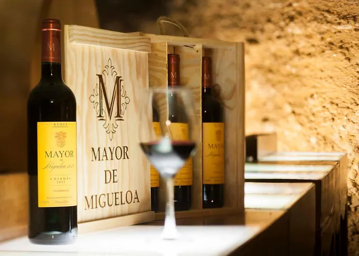 Mayor De Migueloa Hotel 2*