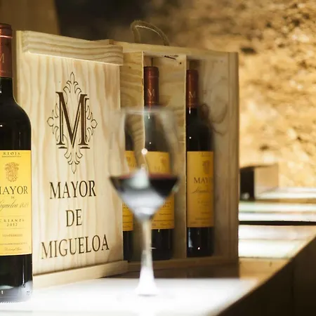 Mayor De Migueloa Hotel 2*