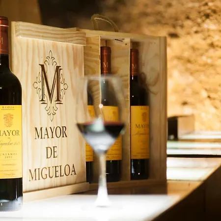 Mayor De Migueloa Hotel 2*